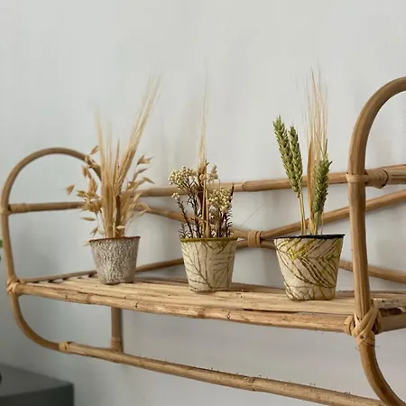 Bougainvillea House, Old Town Appartement