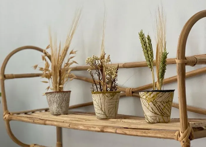 Bougainvillea House, Old Town Appartement